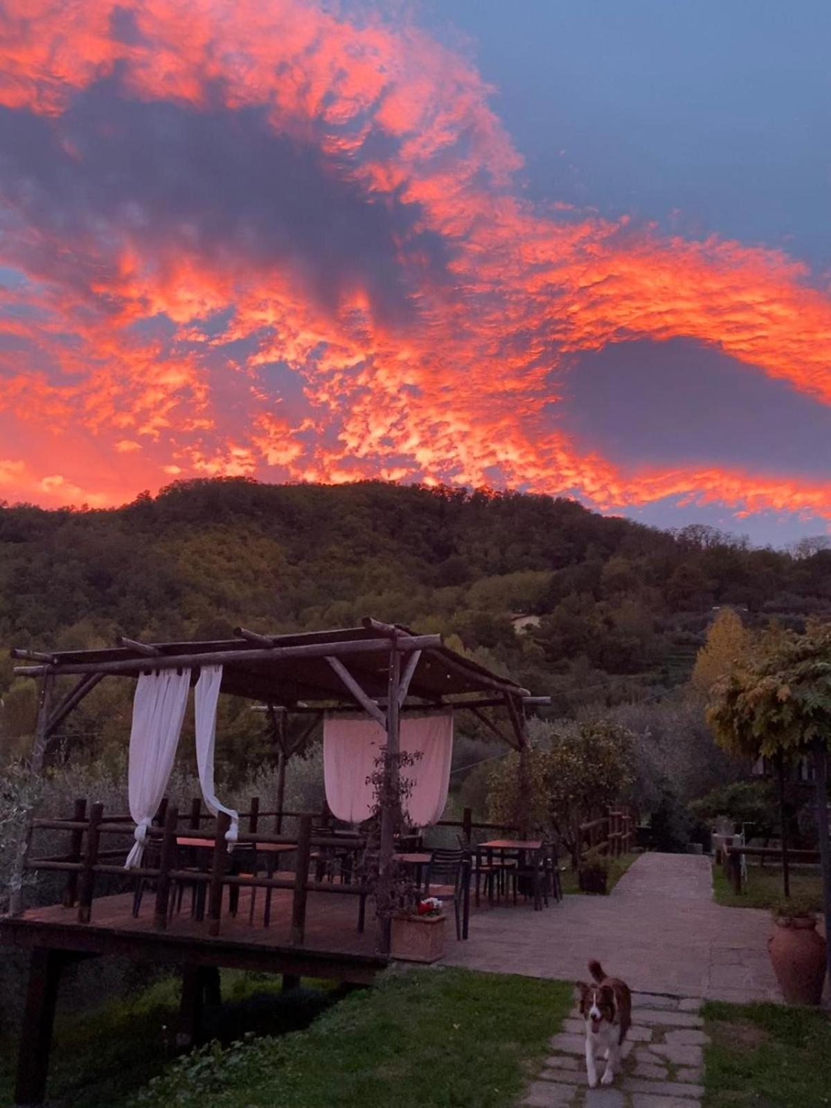 Agriturismo Ca Di Rossi Villa Mulazzo Exteriör bild