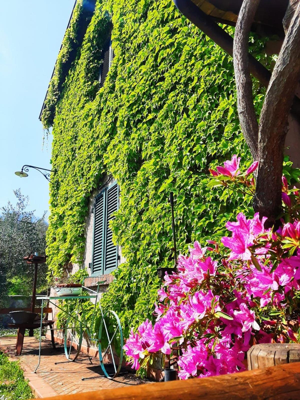 Agriturismo Ca Di Rossi Villa Mulazzo Exteriör bild